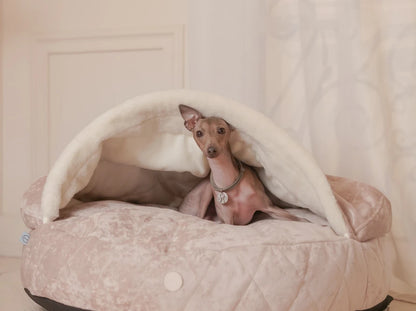 COVER Plush Memory Foam#Beige