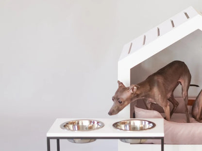 Ceramic Dog Bowl Ceramic Bowl