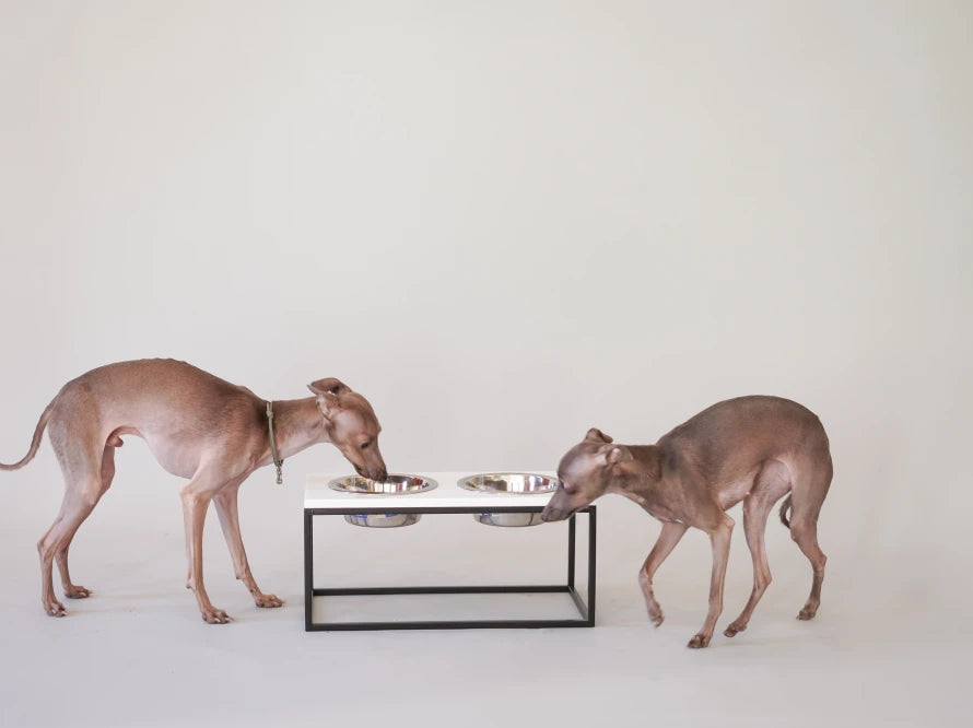 Ceramic Dog Bowl Ceramic Bowl