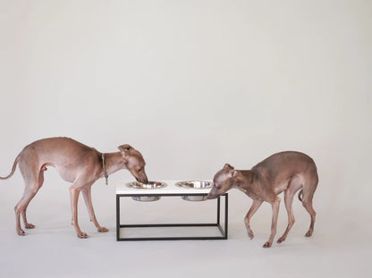 Ceramic Dog Bowl Ceramic Bowl