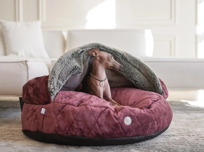 COVER Plush Memory Foam