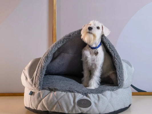 COVER  Memory Foam