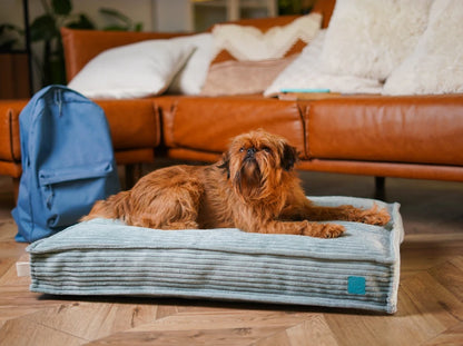 MEMORY FOAM Kissen