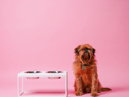 Ceramic Dog Bowl Ceramic Bowl