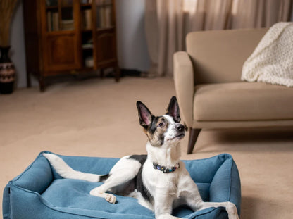 dog bed Dreamer Graphite