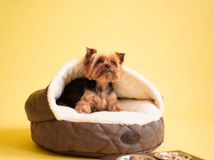 COVER  Memory Foam