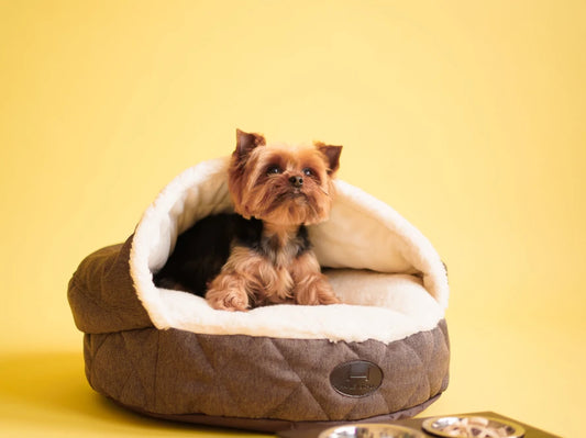 COVER Memory Foam