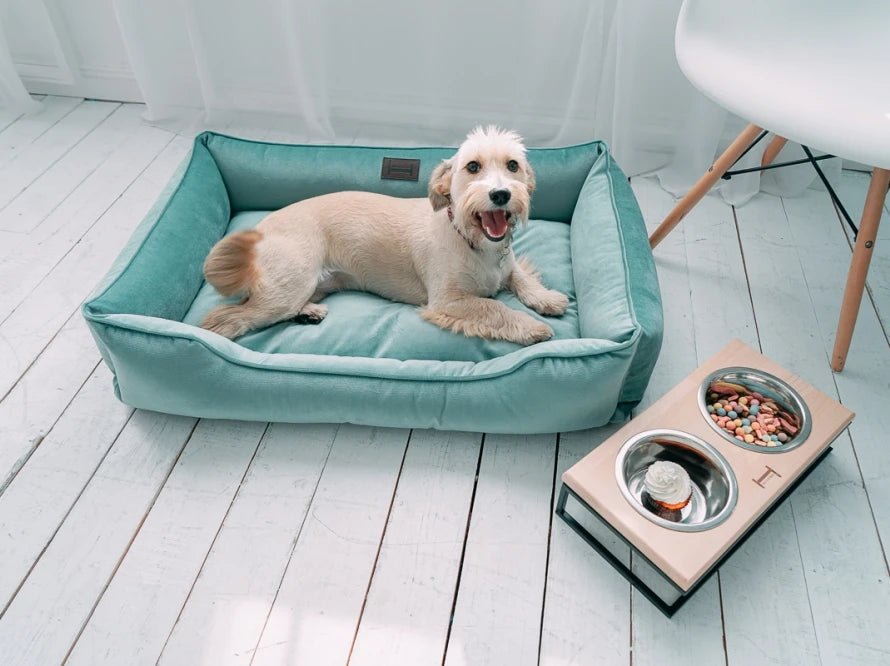 Dog Bed Dreamer Velour Graphite