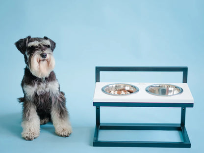 Ceramic Dog Bowl Ceramic Bowl
