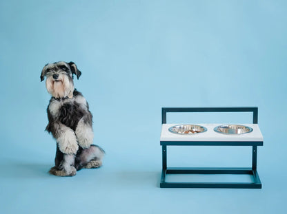 Ceramic Dog Bowl Ceramic Bowl