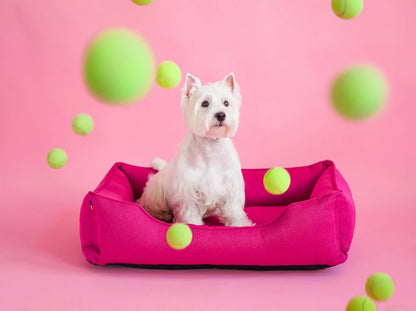 dog bed Dreamer Graphite
