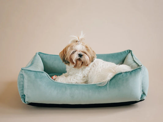 Dog Bed Dreamer Velour Graphite