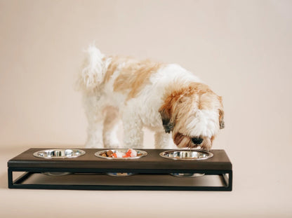 Ceramic Dog Bowl Ceramic Bowl