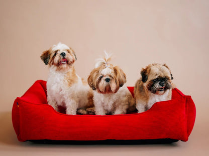 DOG BED DREAMER VELVET Yellow