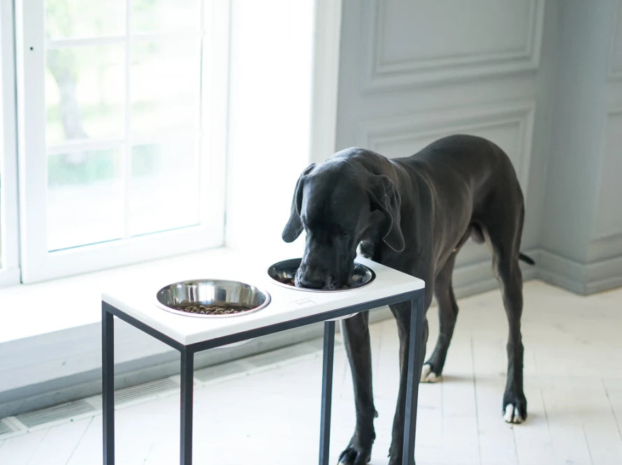 Ceramic Dog Bowl Ceramic Bowl