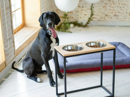 Ceramic Dog Bowl Ceramic Bowl