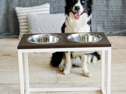Ceramic Dog Bowl Ceramic Bowl