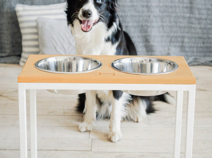 Ceramic Dog Bowl Ceramic Bowl