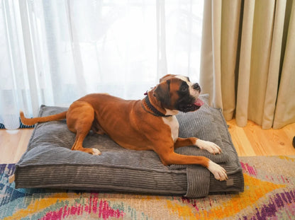 MEMORY FOAM Kissen