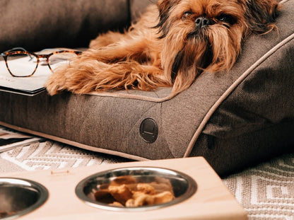 Ceramic Dog Bowl Ceramic Bowl