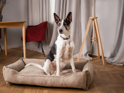 DOG BED DREAMER VELVET Yellow