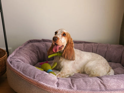 Oval Dog Bed Donut Ocean