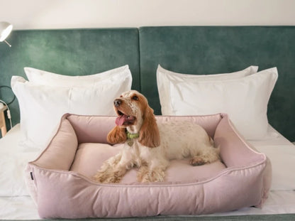 Dog Bed Dreamer Velour Graphite