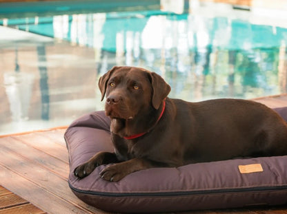 LOUNGER  Waterproof