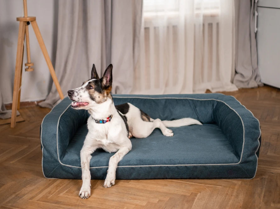 Hundesofa SLEEPER aus Möbelvelour#Blau