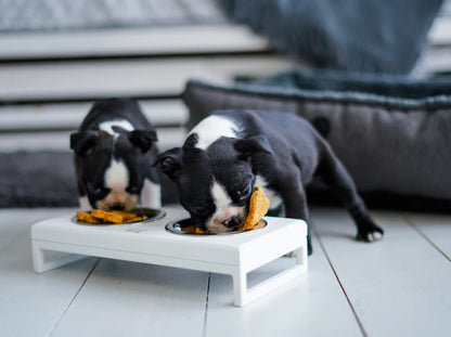 Ceramic Dog Bowl Ceramic Bowl