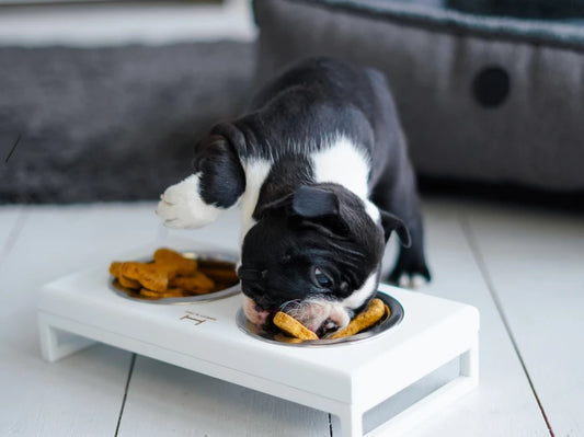 LUNCH BAR Wood#Weiß