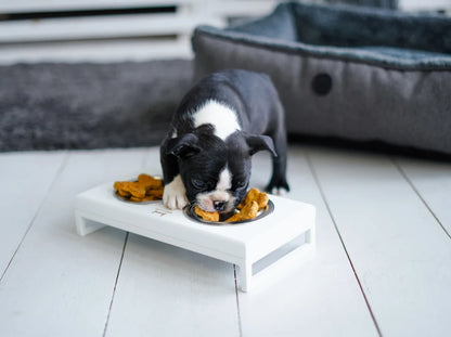 Ceramic Dog Bowl Ceramic Bowl