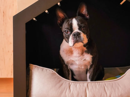 Shelter Braun Velour#Pudra