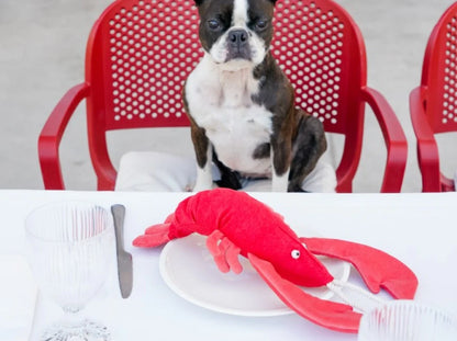 LOBSTER SEBASTIAN