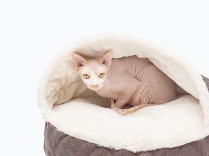 COVER Memory Foam