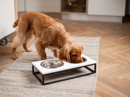 Ceramic Dog Bowl Ceramic Bowl