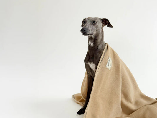 Tysha Fleecedecke#Beige