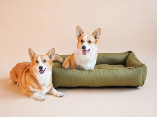 SOFA dog bed