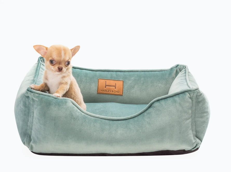 DREAMER Velour#Tiffany