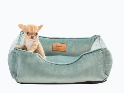 DREAMER Velour#Tiffany