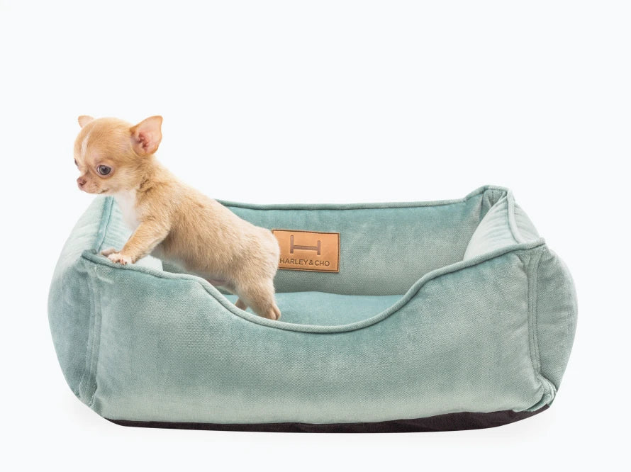 DREAMER Velour#Tiffany