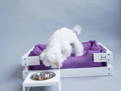 Ceramic Dog Bowl Ceramic Bowl