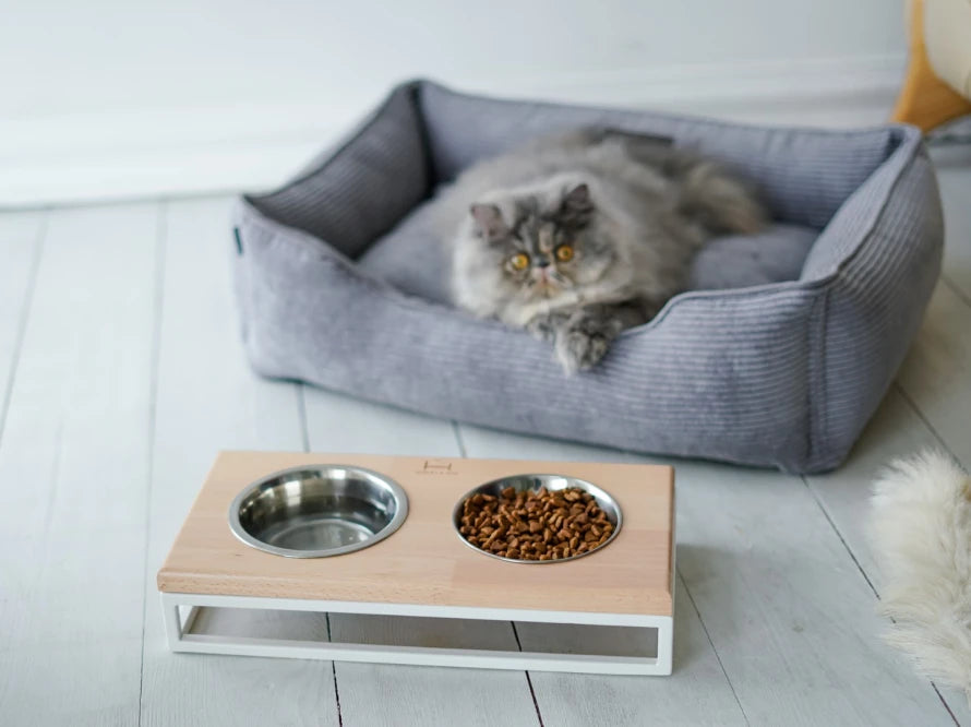 Dog Bed Dreamer Velvet Yellow