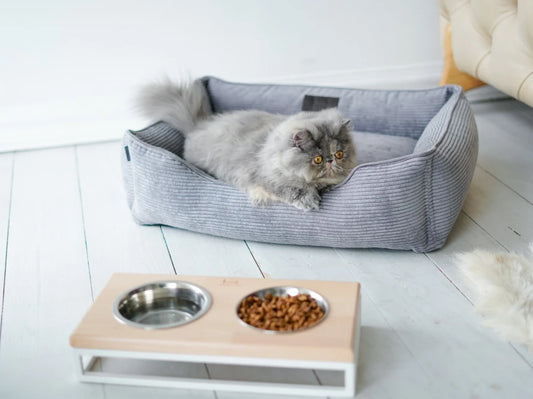 LUNCH BAR Wood#Natürliche