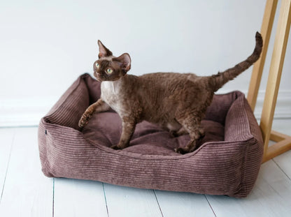 Dog Bed Dreamer Velvet Yellow