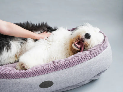 Oval Dog Bed Donut Ocean