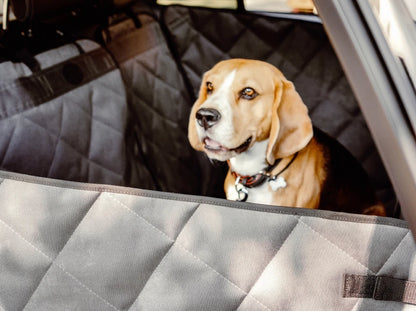 Car Dog Hammock Saver Grey - Transformer