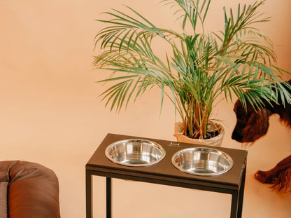 Ceramic Dog Bowl Ceramic Bowl