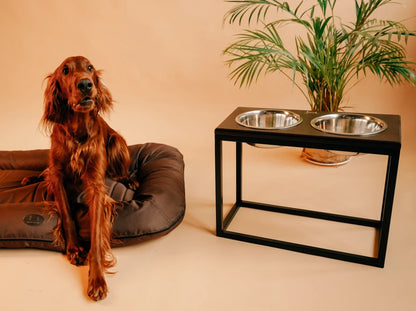 Ceramic Dog Bowl Ceramic Bowl