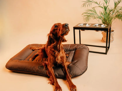 LOUNGER  Waterproof